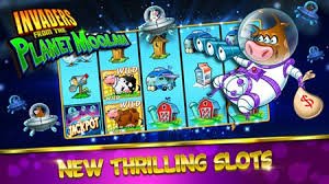 Platform taruhan seputar sepak bola dan olahraga terpopuler di playwin77